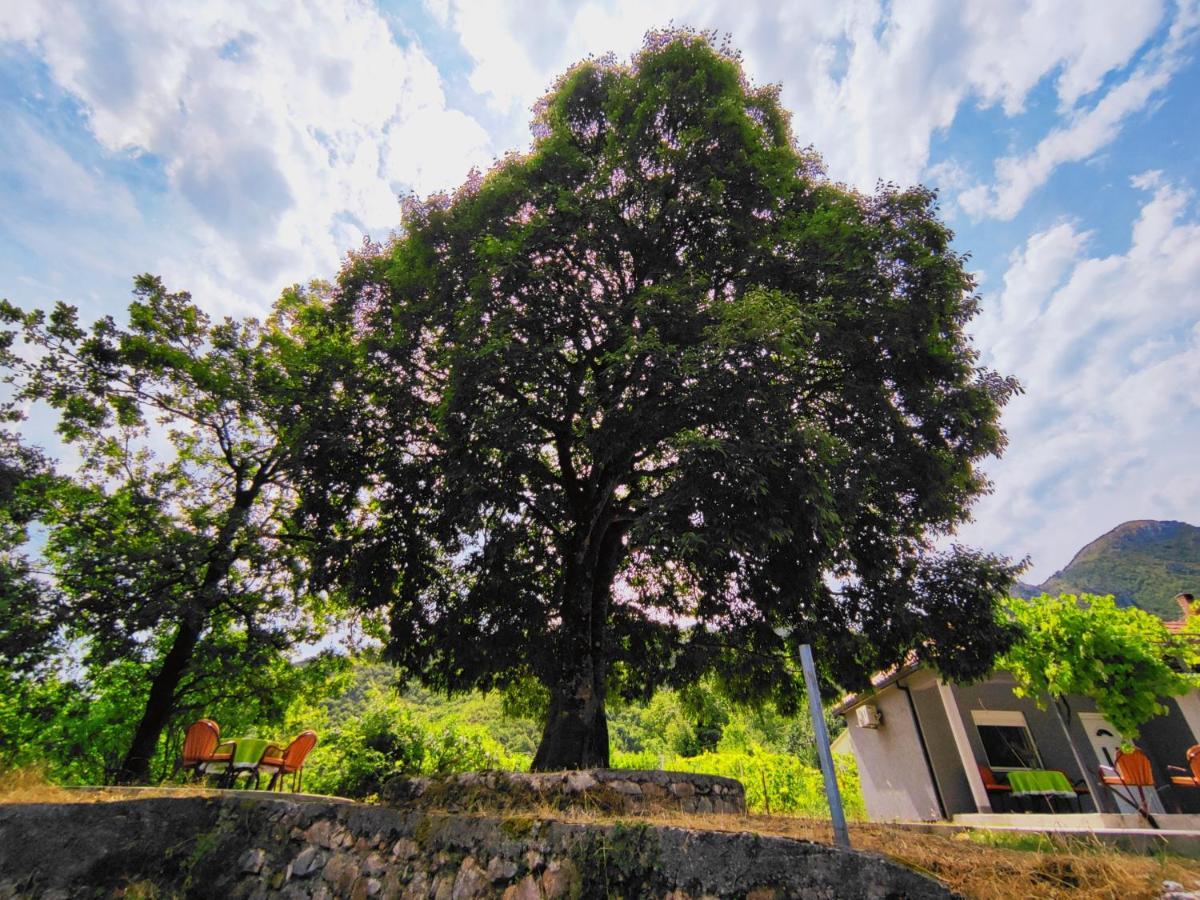Вілла Celtis Shade House Вірпазар Екстер'єр фото